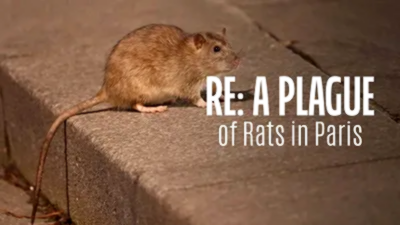 ARTE Een Rattenplaag In Parijs GG NLSUBBED 1080p WEB x264-DDF