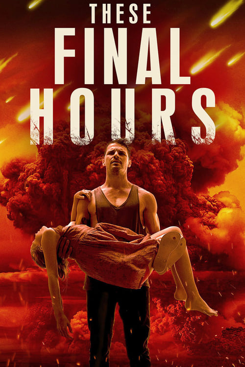 These Final Hours 2013 1080p BluRay DTS x264-VietHD