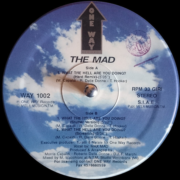 The Mad - What The Hell Are You Doing-WEB-1993-iDC