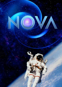 NOVA S50E15 Ancient Earth Humans 720p x265-T0PAZ