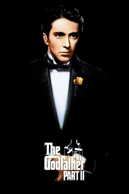 The Godfather Part II 1974 1080p BluRay DD5 1 x264-CtrlHD