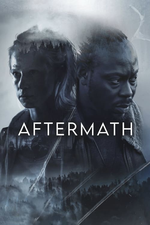 Aftermath 2024 1080p BluRay x264-GP-M-Eng