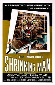 The Incredible Shrinking Man 1957 1080p BluRay x264 YIFY