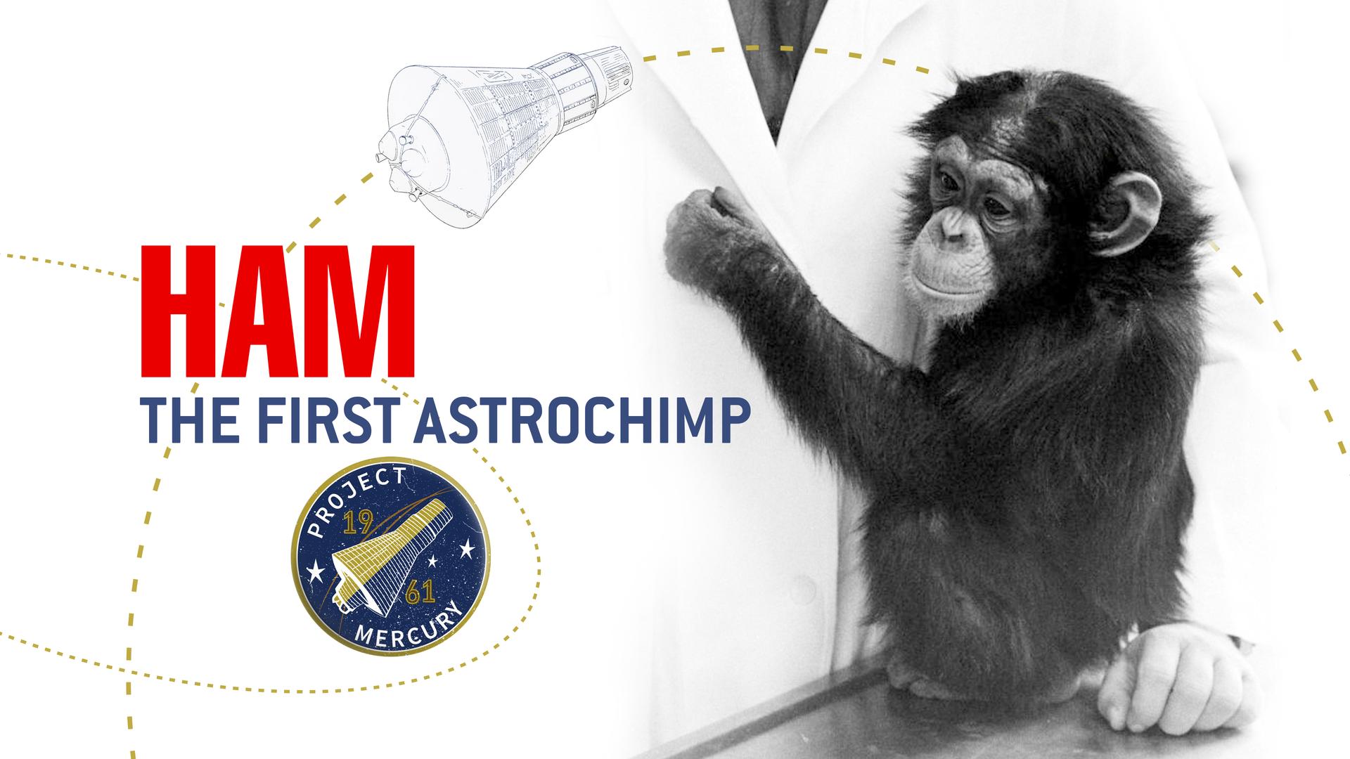 Ham-De Eerste Astrochimpansee GG NLSUBBED 720p WEB x264-DDF