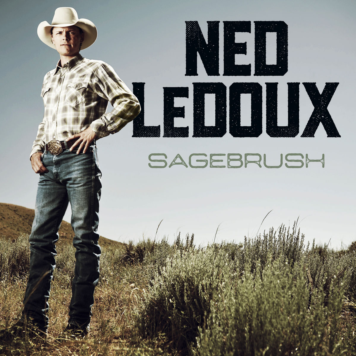 Ned LeDoux · Sagebrush (2017 · FLAC+MP3)