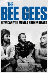 The Bee Gees How Can You Mend A Broken Heart 2020 720p BluRay x264-GAZER