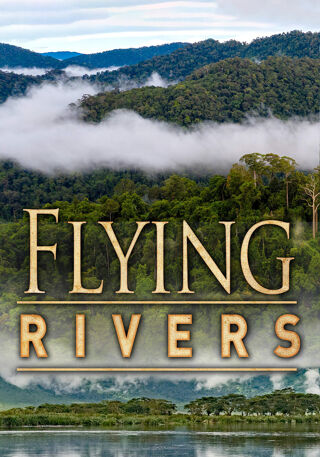 Het Mysterie Van De Vliegende Rivieren FLEMISH NLSUBBED 1080p WEB x264-DDF
