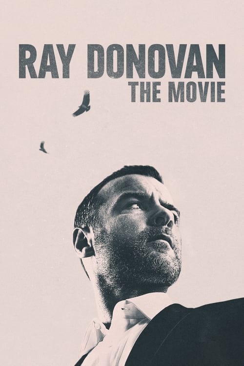 Ray Donovan The Movie 2022 1080p BluRay x265
