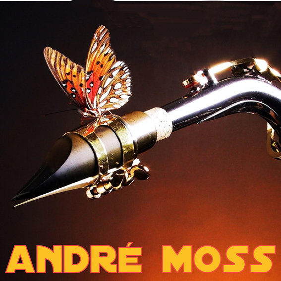 Andre Moss - Compilatie