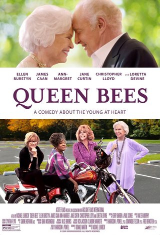 Queen Bees (2021) 1080p WEB-DL DD5.1 H264 NLsubs
