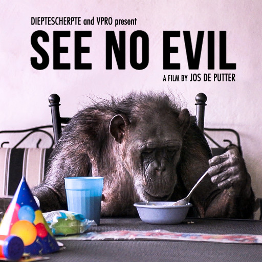 See No Evil 2017 GG NLSUBBED 1080p WEB x264-DDF
