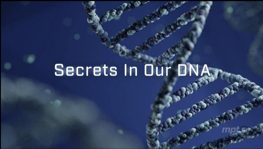 NOVA S48E01 Secrets in our DNA 1080p HEVC