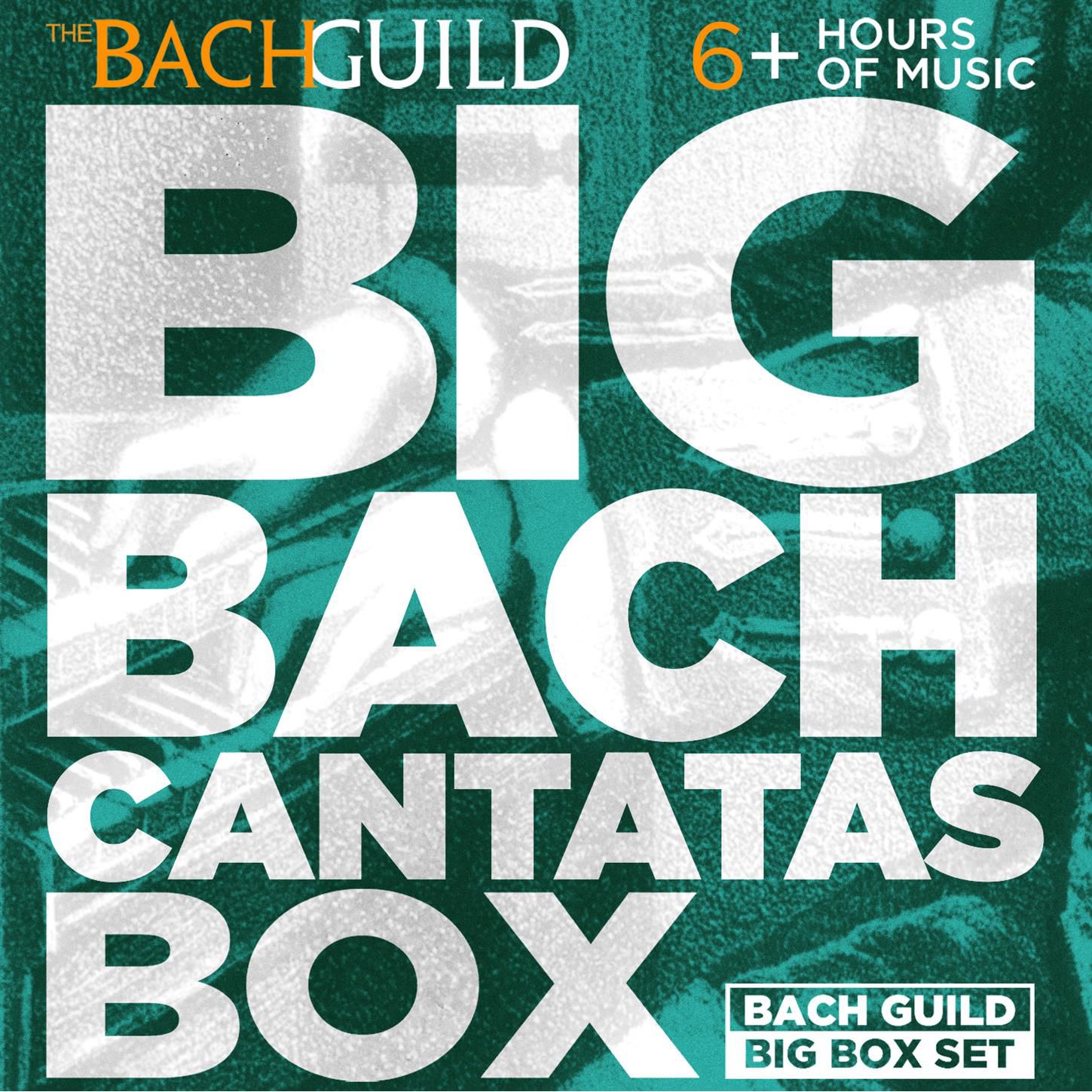 Various Artists - Big Bach Cantatas Box