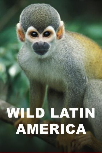 Het Wild Van Latijns Amerika S01 DUTCH 1080p WEB x264-DDF