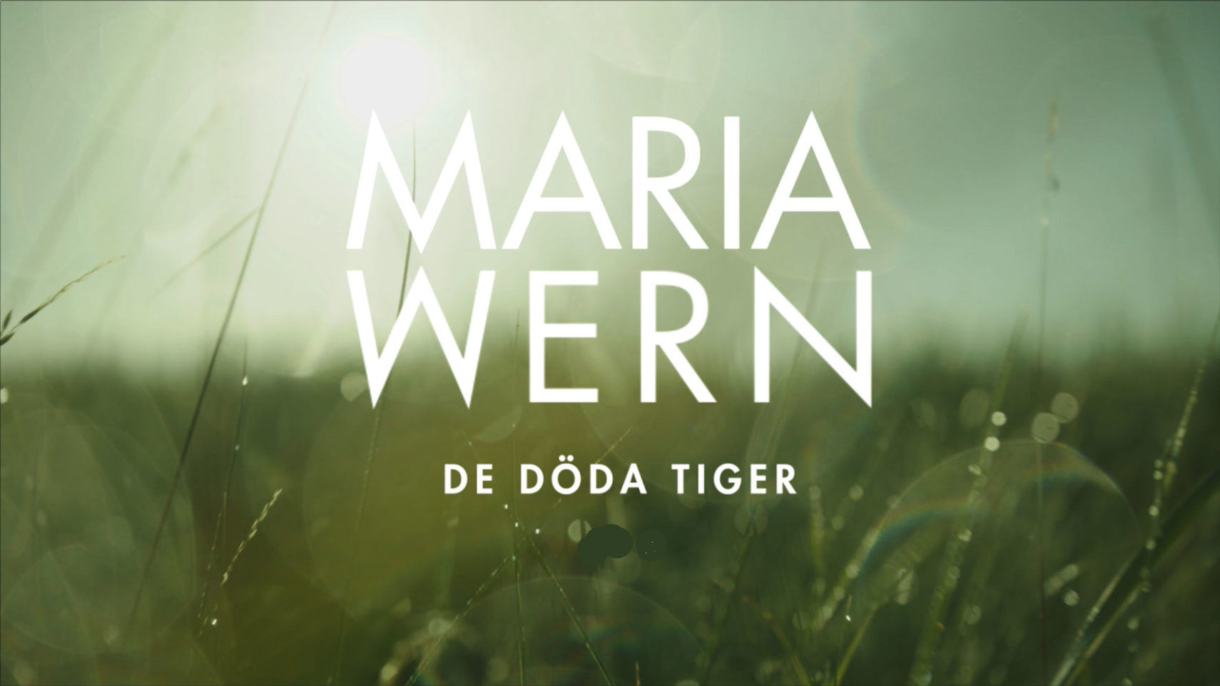 Maria Wern s05e03 De doda tiger Part1 2016