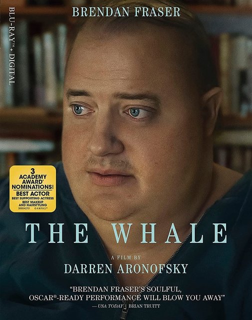 The Whale (2022) BluRay 2160p DV HDR DTS-HD AC3 HEVC NL-RetailSub REMUX