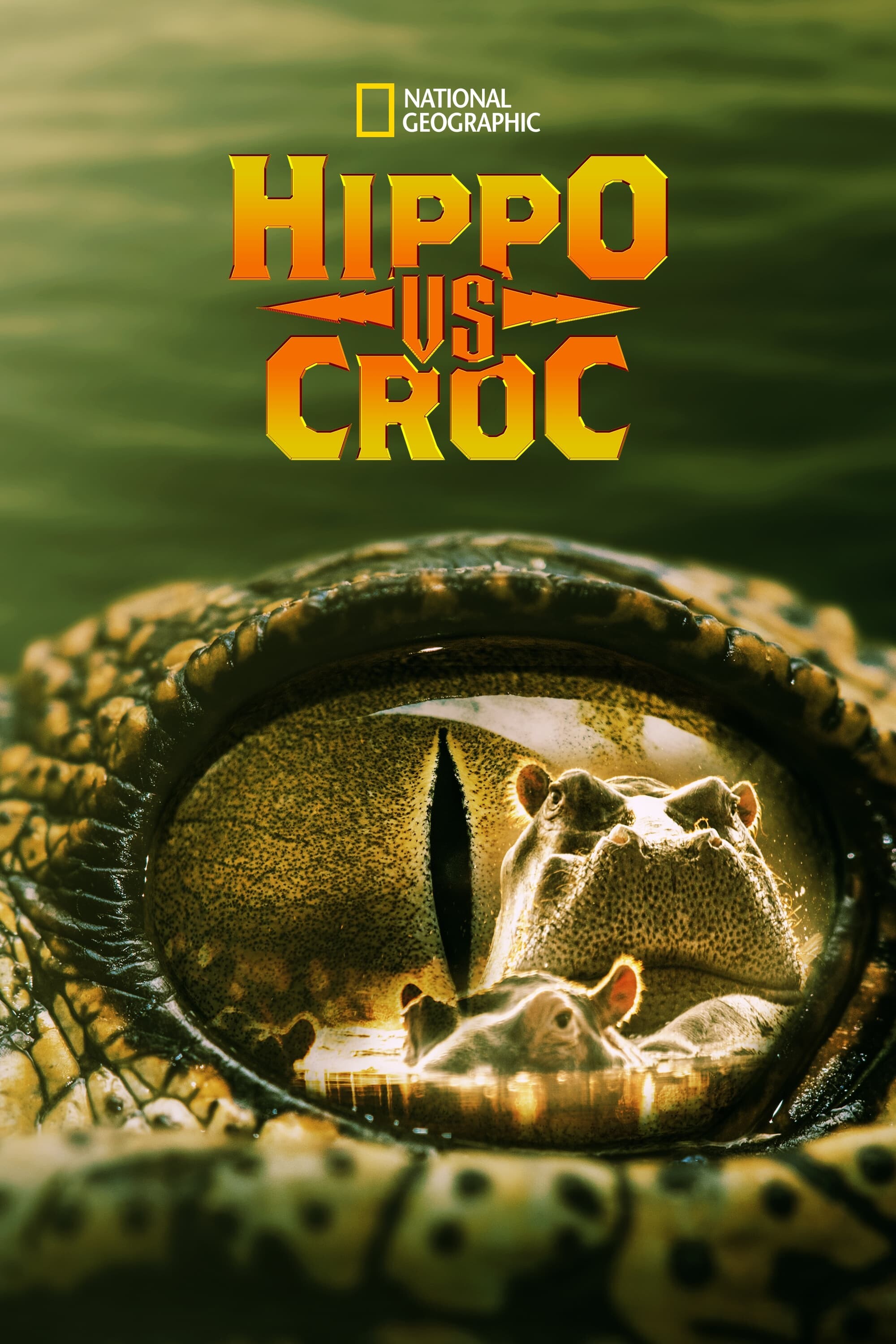 Hippo vs Croc 2014 720p DSNP WEB-DL DDP5 1 H 264-playWEB
