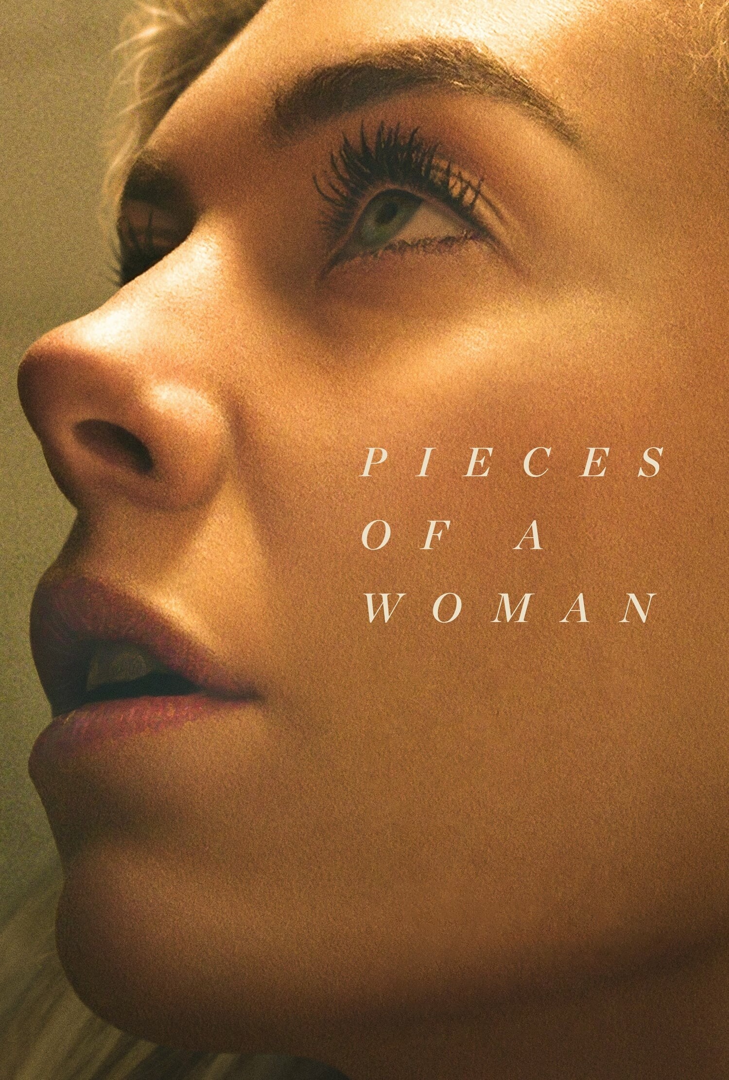 Pieces of a Woman 2020 2160p NF WEB-DL DDP 5 1 DoVi HDR HEVC-SiC