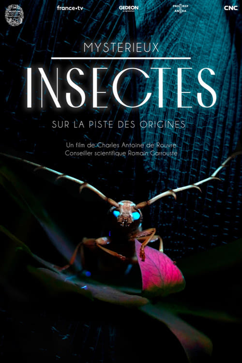 Mysterious Origins of Insects 2024 1080p iP WEB-DL AAC2 0 H 264-playWEB