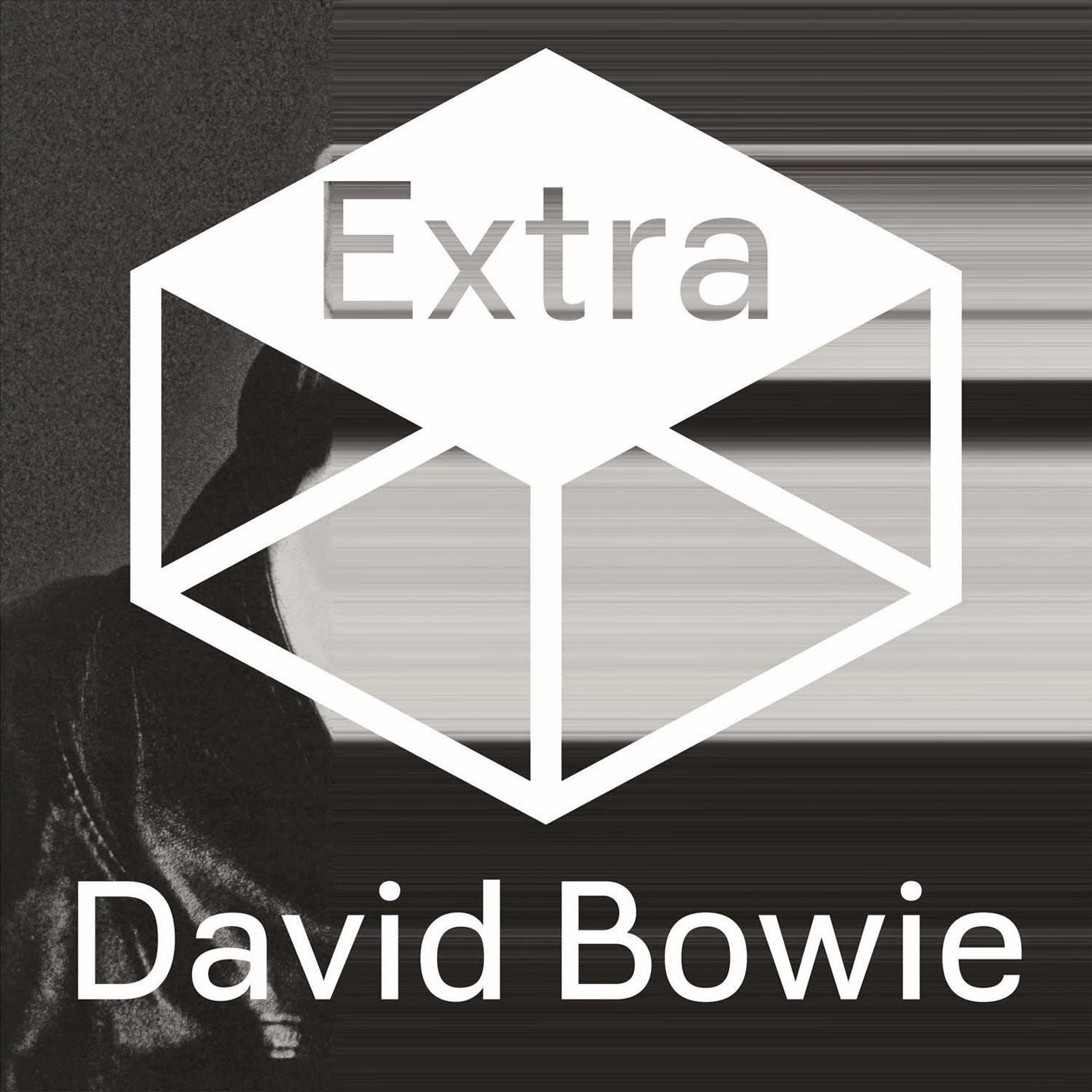 David Bowie - 2013 - The Next Day Extra [2013] 24-96