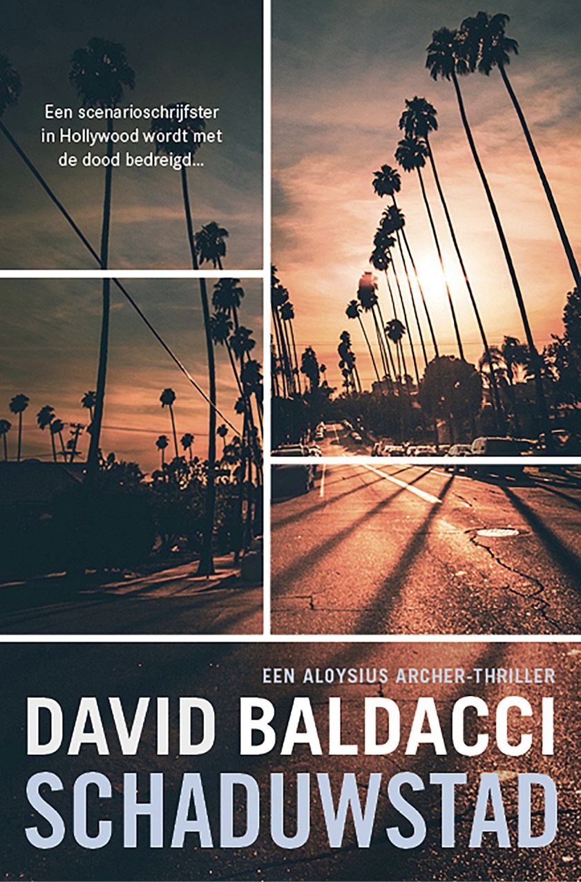 David Baldacci 52/54 Thriller/Misdaad