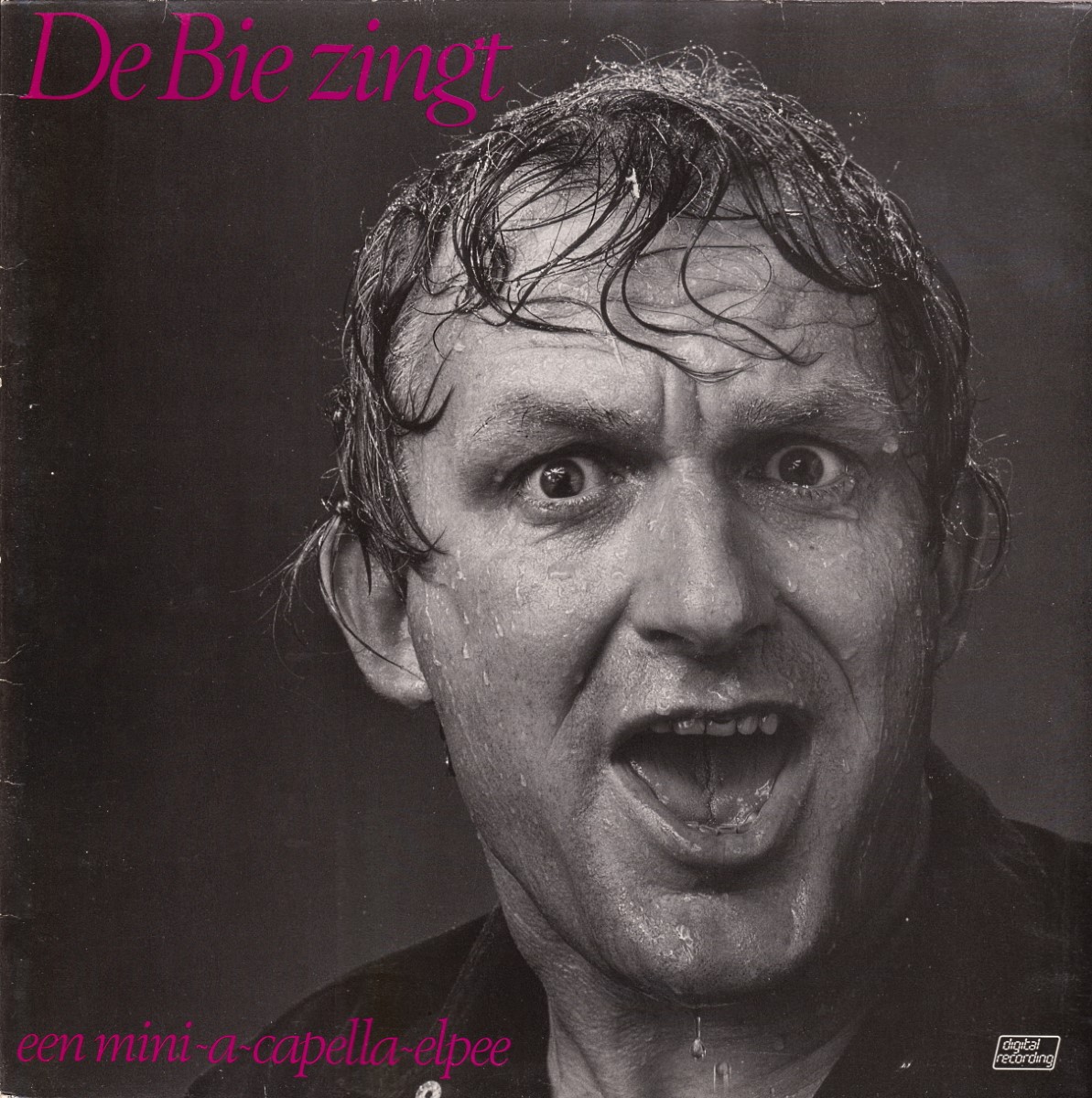 Wim De Bie - De Bie Zingt (1984)