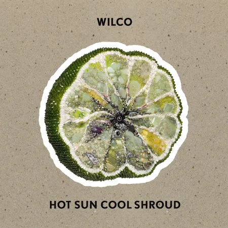 Wilco - 2024 - Hot Sun Cool Shroud (EP)