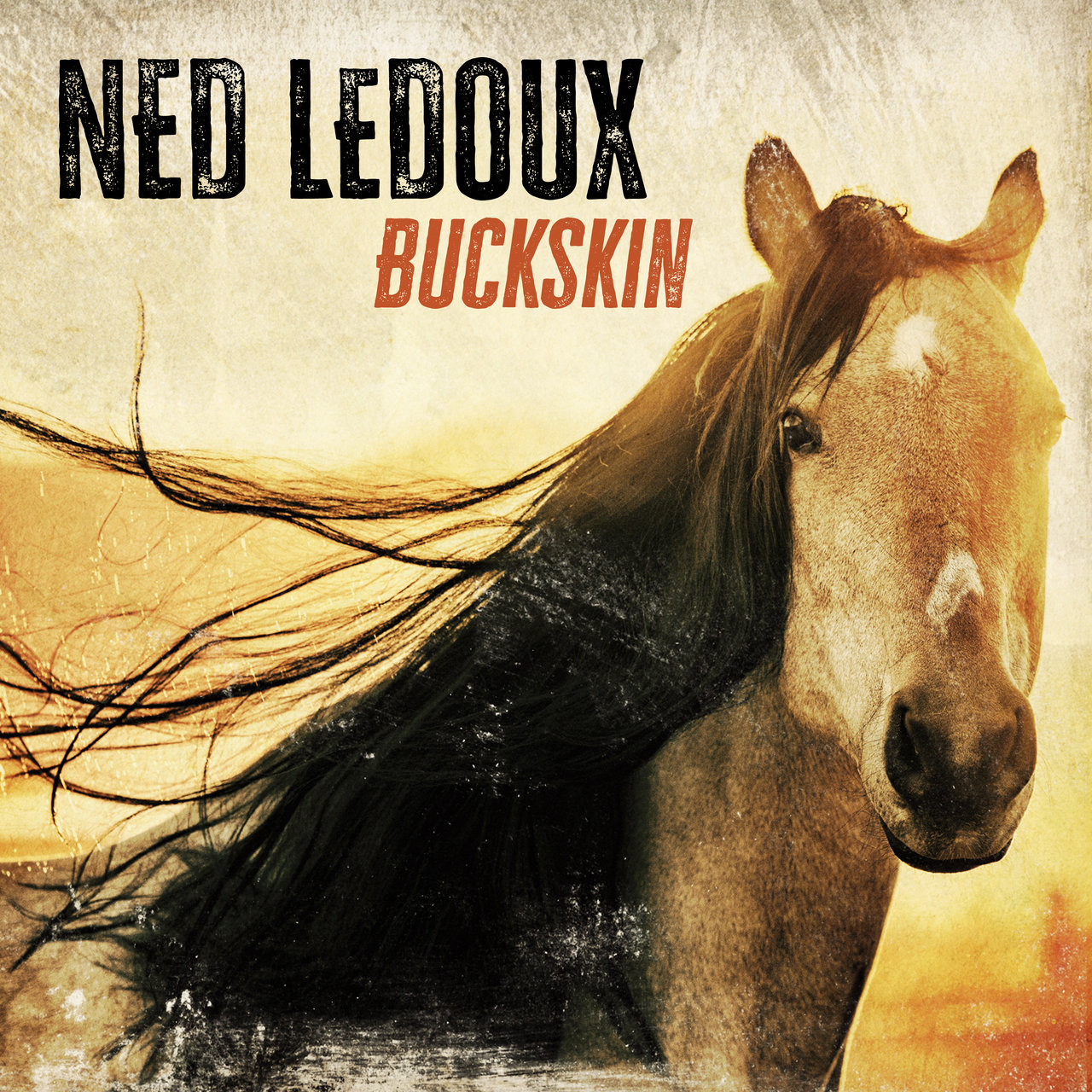 Ned LeDoux · Buckskin (2022 · FLAC+MP3)