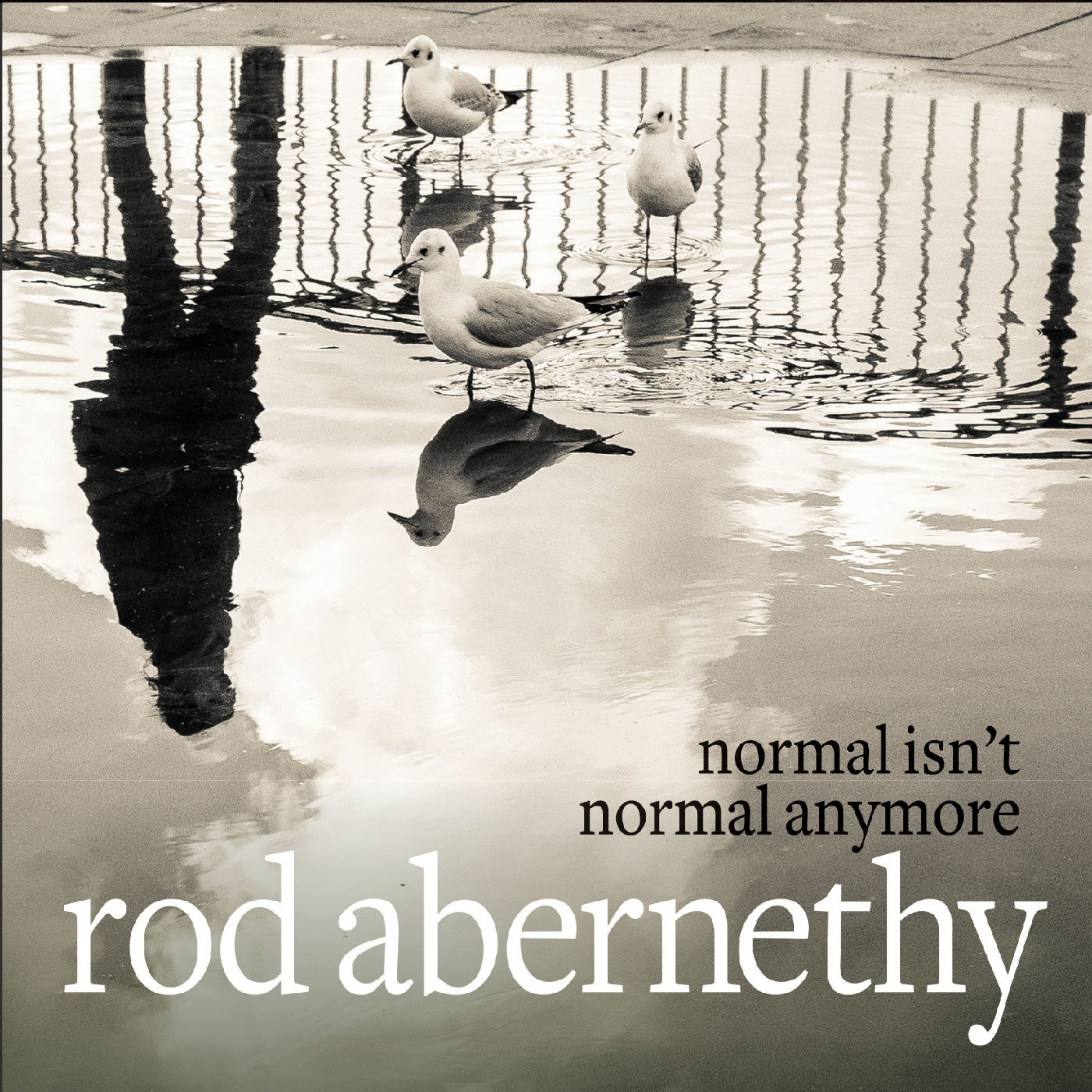 Rod Abernethy – 2021 - Normal Isn't Normal Anymore