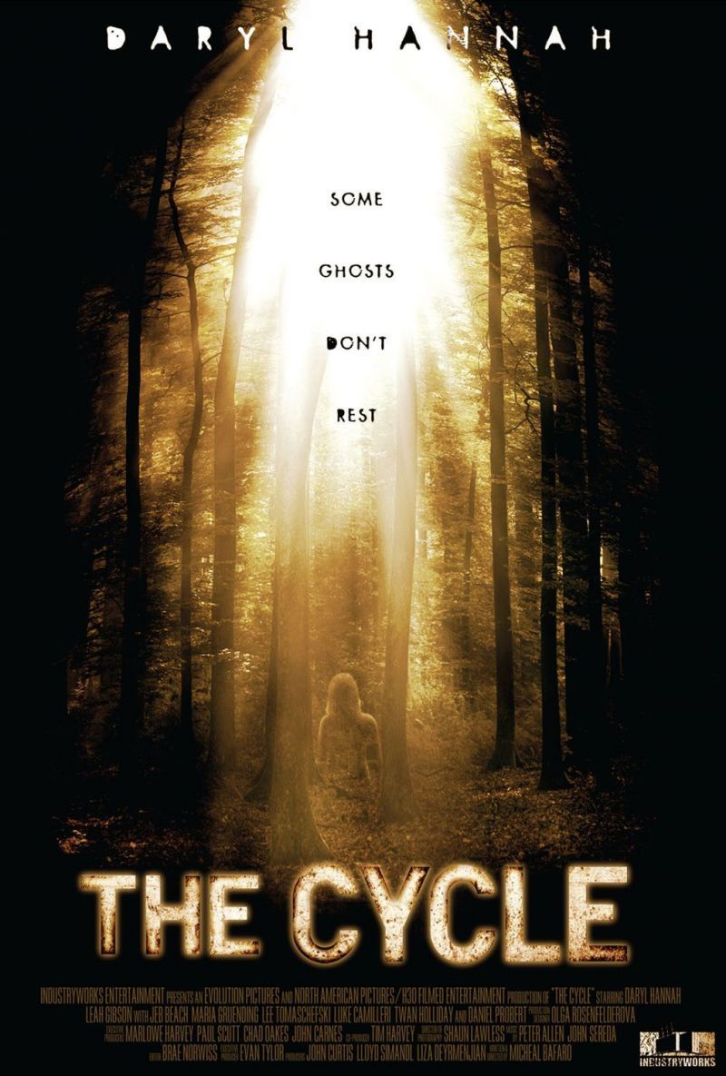 The cycle 2008