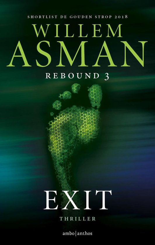 Willem Asman - Rebound 3 - Exit