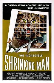 The Incredible Shrinking Man 1957 FRENCH 720p BluRay x264 DTS-YOP