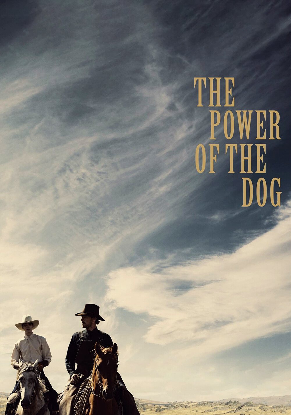 The Power of the Dog 2021 2160p BluRay x264 8bit SDR DTS-HD MA TrueHD 7 1 Atmos-SWTYBLZ