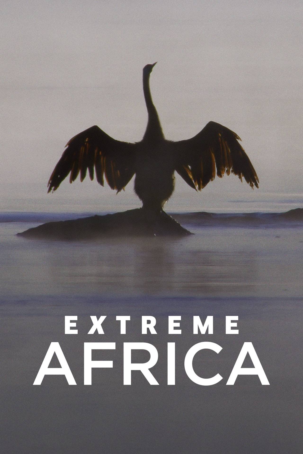 Extreem Afrika S01 DUTCH WEB x264-DDF