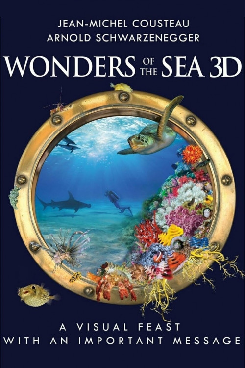 Wonders of the Sea (2017) - 1080p BluRay REMUX AVC DD 5 1 (NLsub)