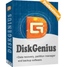 DiskGenius Professional v5.4.2.1239