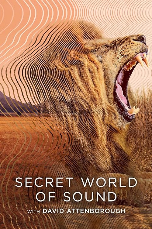 Secret World of Sound with David Attenborough (2024) Seizoen.01 - 1080p.WEB.h264 (NLsub)