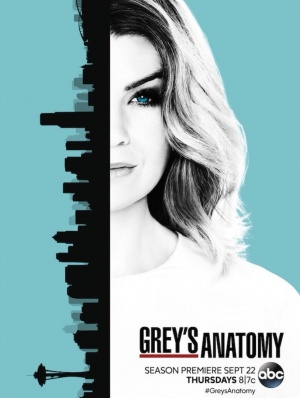 Grey's Anatomy.S13.720P-WEB-DL-GP-TV-Nlsubs
