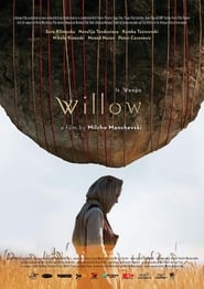 Willow 2019 1080p HBO WEB-DL AAC2 0 H 264-playWEB