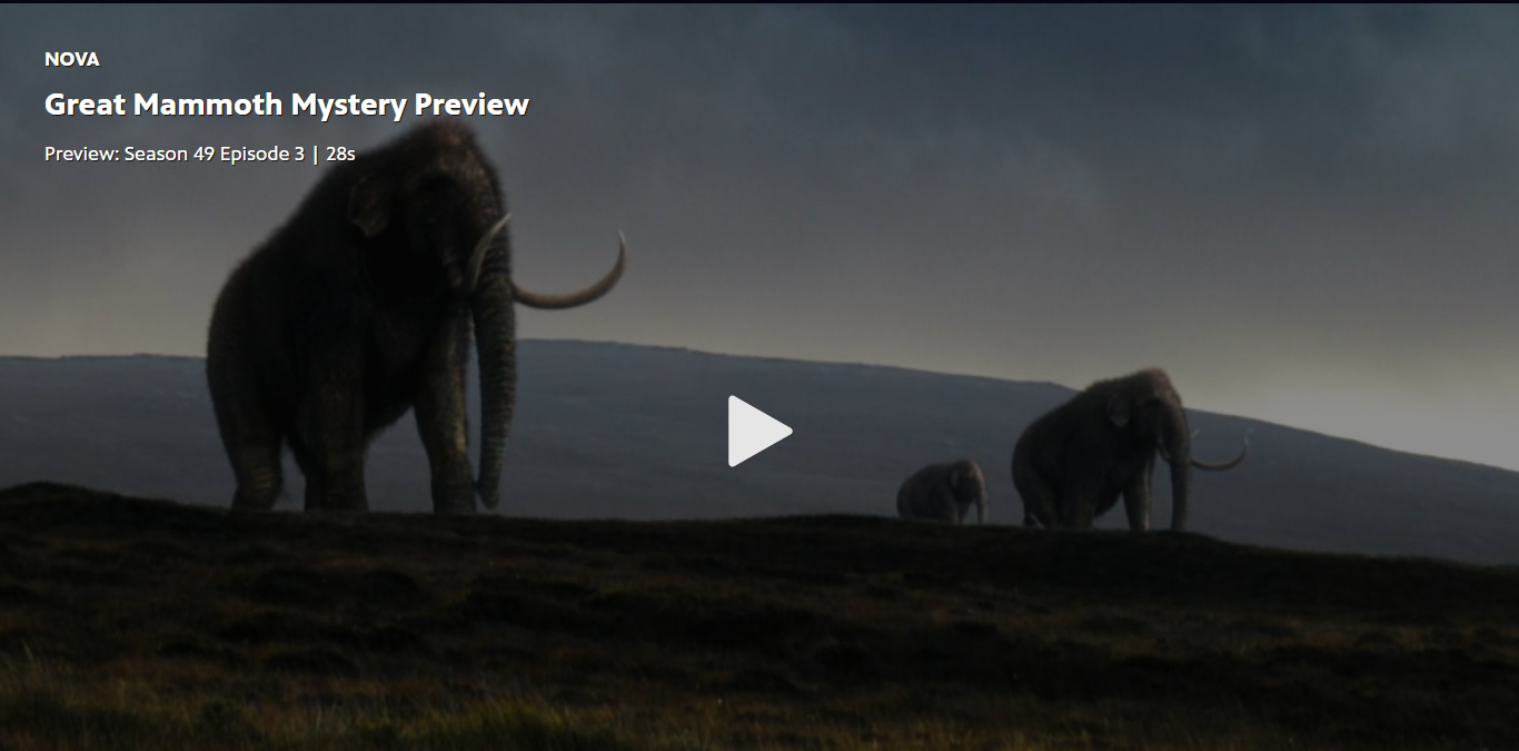 NOVA S49E03 Great Mammoth Mystery 1080p (David Attenborough)