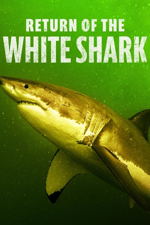 Return Of The White Shark 2023 1080p WEBRip 5 1-LAMA