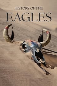The History of The Eagles 2013 1080p BluRay x264-nikt0
