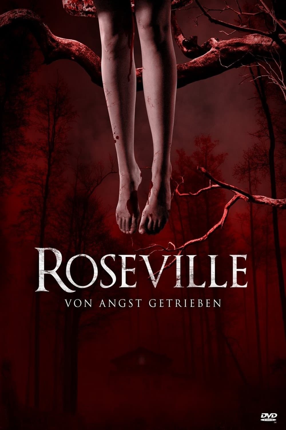 Roseville 2013 1080p