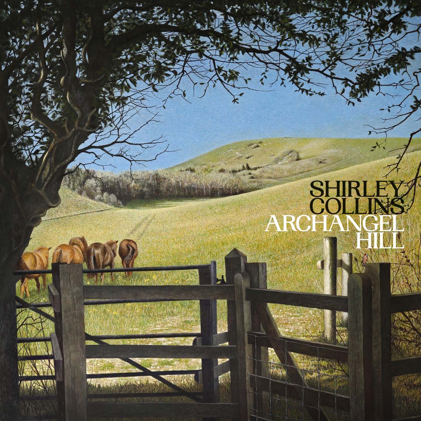 Shirley Collins - 2023 - Archangel Hill (24-44.1)
