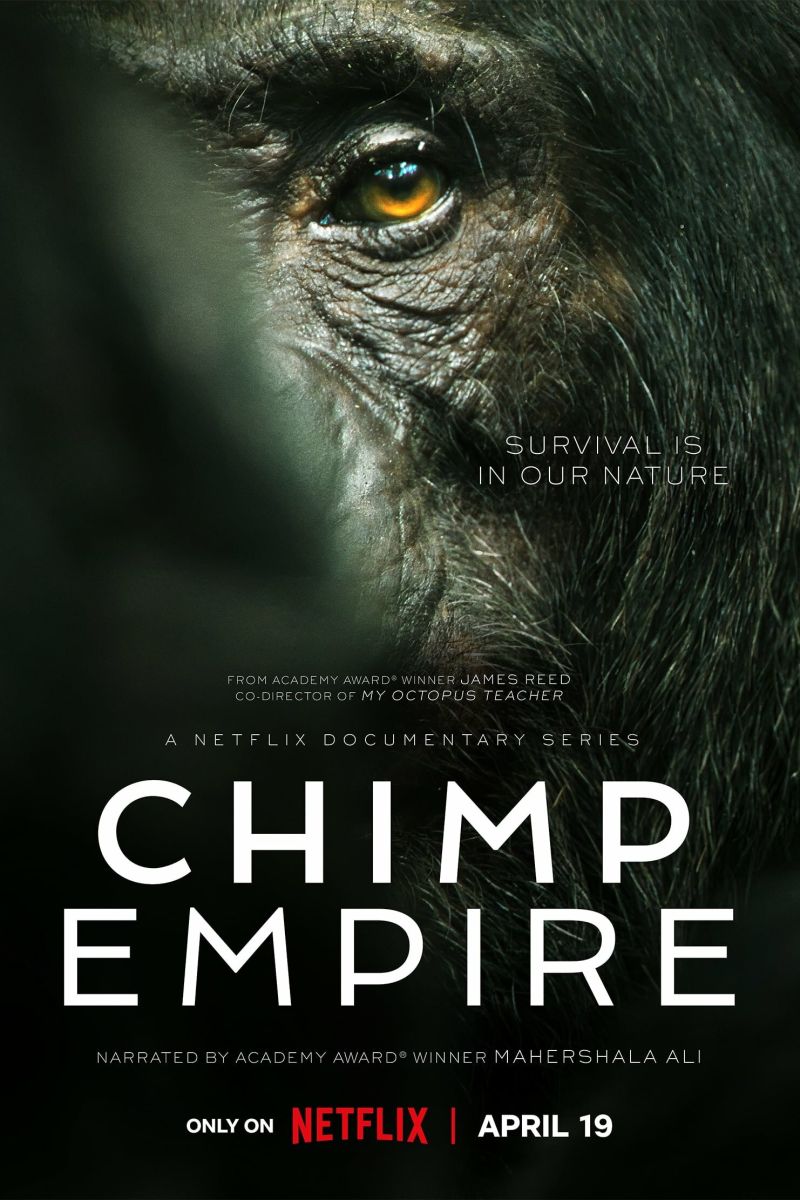 Chimp Empire S01 2160p NF WEB-DL DDP5 1 Atmos DV HDR H 265- (NL subs) seizoen 1