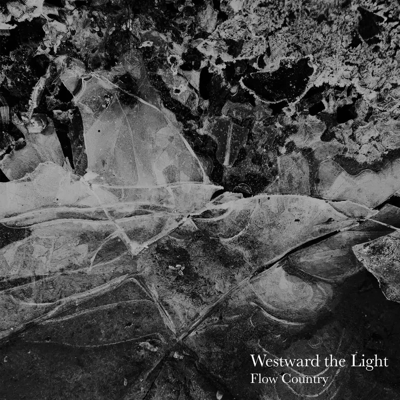 Westward the Light - 2023 - Flow Country