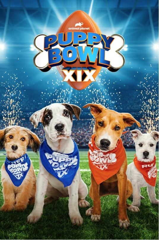 Puppy Bowl Presents 20 Years of Puppies 2024 1080p WEB h264-FREQUENCY