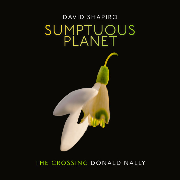 The Crossing & Donald Nally - 2023 David Shapiro- Sumptuous Planet (A Secular Mass)