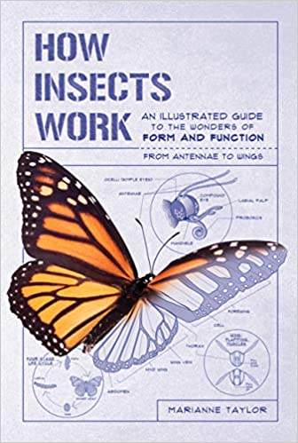 Marianne Taylor - How Insects Work- An Illustrated Guide to the Wonders of Form and Function