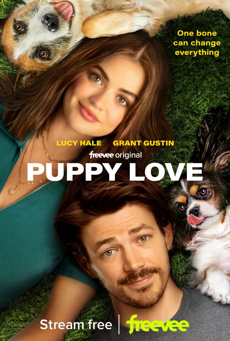 Puppy Love 2023 1080p AMZN WEB-DL DDP5 1 H 264-FLUX